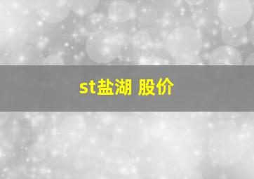 st盐湖 股价